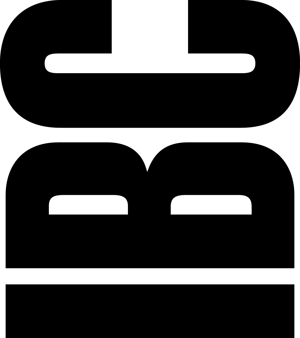 Partner-Logo-International Business College Denmark (IBCD)